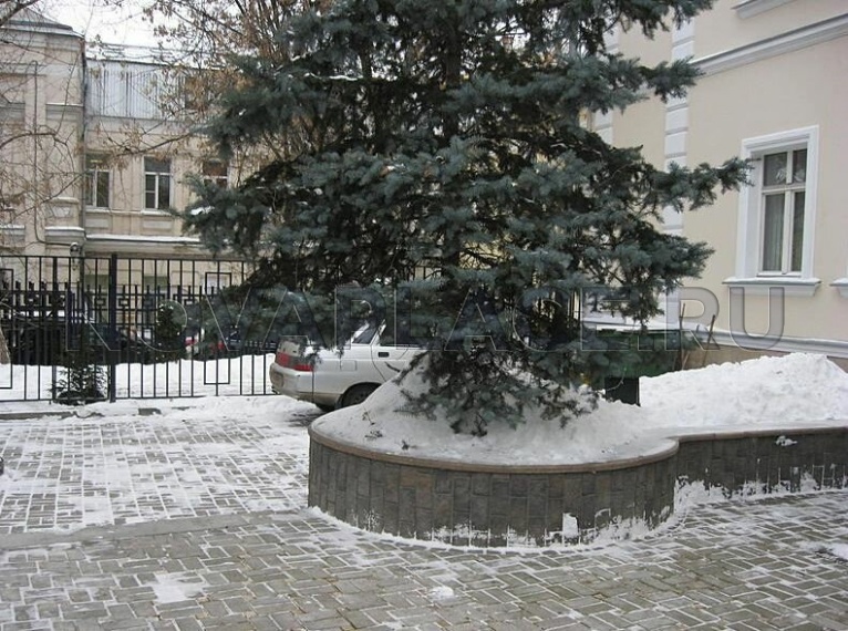 Аренда здания (ОСЗ) в Москве 536 м2