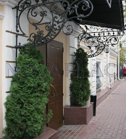 Аренда здания (ОСЗ) в Москве 1800 м2