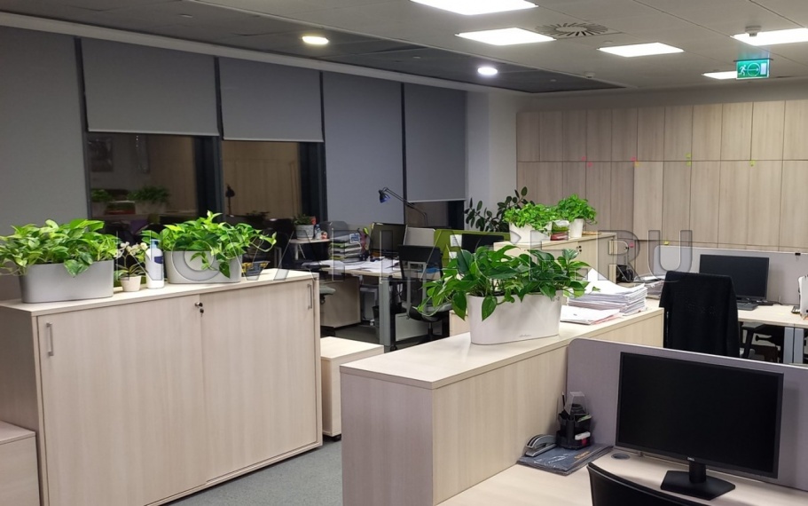 Аренда офиса - ИФНС №3 615 м2